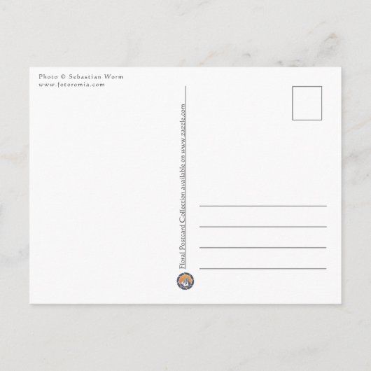 Natuur Lavender Flower Honeybee Briefkaart (Achterkant)