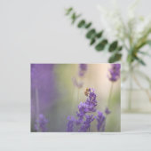 Natuur Lavender Flower Honeybee Briefkaart (Staand voorkant)