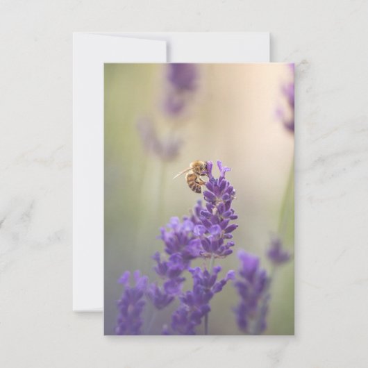 Natuur Lavender Flower Honeybee Kaart (Voorkant)