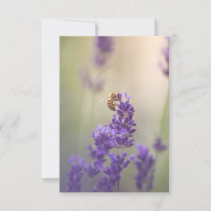 Natuur Lavender Flower Honeybee Kaart