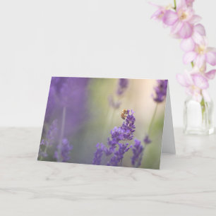 Natuur Lavender Flower Honeybee Kaart