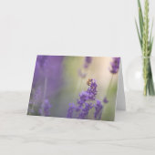 Natuur Lavender Flower Honeybee Kaart (Voorkant)