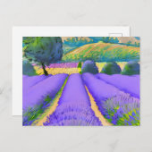 Natuur Lavender-velden Briefkaart (Voorkant / Achterkant)