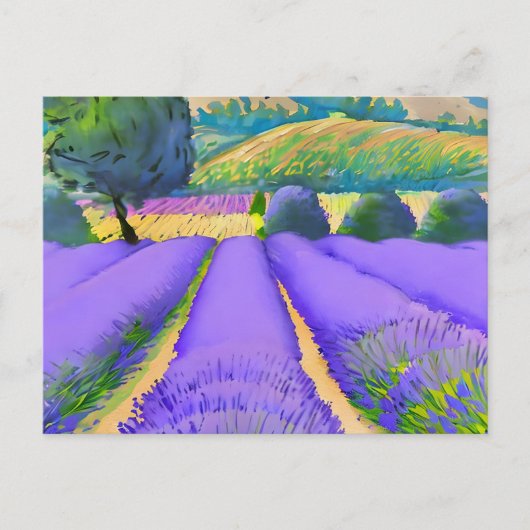 Natuur Lavender-velden Briefkaart (Voorkant)