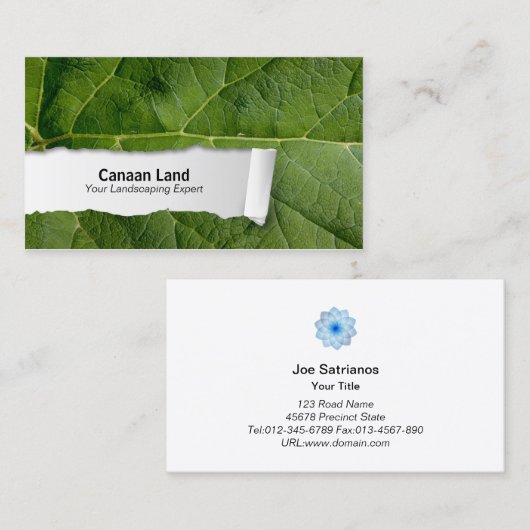 Natuur  Leaf Closeup Visitekaartje (Voorkant / Achterkant)