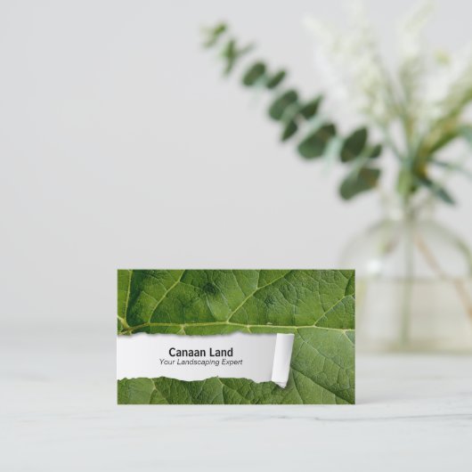 Natuur  Leaf Closeup Visitekaartje (Staand voorkant)