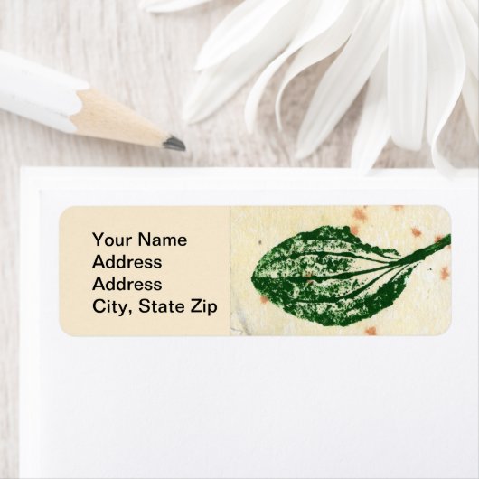 Natuur Leaf Print, gewoon plantain leaf. Etiket (Insitu)