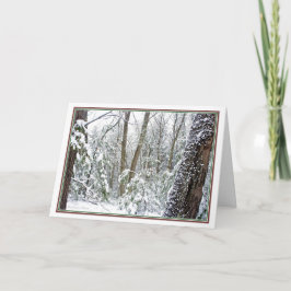 ***Natuur: Leef elk seizoen: Walden Pond Feestdagen Kaart