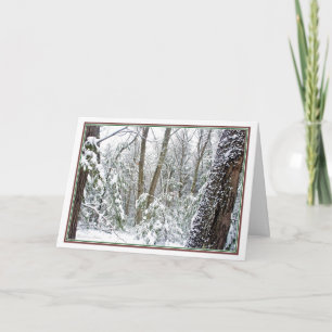 ***Natuur: Leef elk seizoen: Walden Pond Feestdagen Kaart