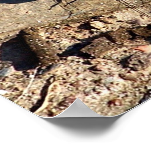 Natuur leisteen blauwe dragonfly poster (Hoek)