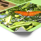 Natuur Levenscyclus Poster (Hoek)