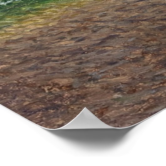 Natuur lopen poster (Hoek)