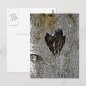 Natuur Love Briefkaart (Voorkant / Achterkant)