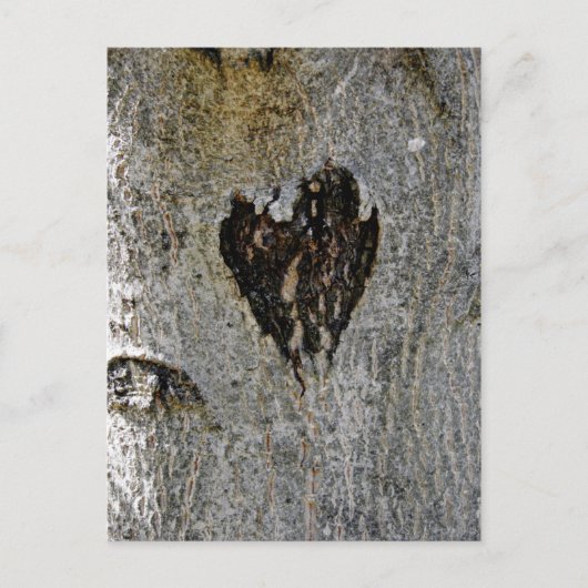 Natuur Love Briefkaart (Voorkant)