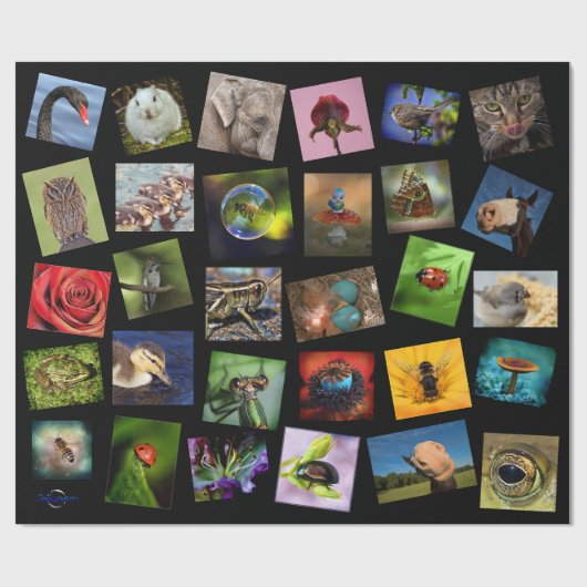 Natuur Lover Cadeaupapier (Vlak)