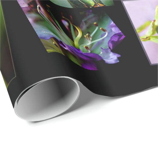 Natuur Lover Cadeaupapier (Rol Hoek)