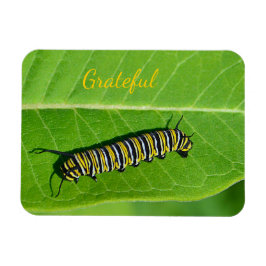 Natuur Lover Gratitude Magneet