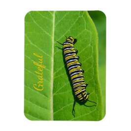 Natuur Lover Gratitude Magneet