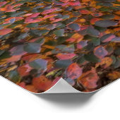 Natuur Magic Poster (Hoek)