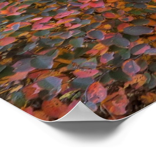 Natuur Magic Poster (Hoek)