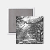 natuur magneet (Voorkant / Achterkant)