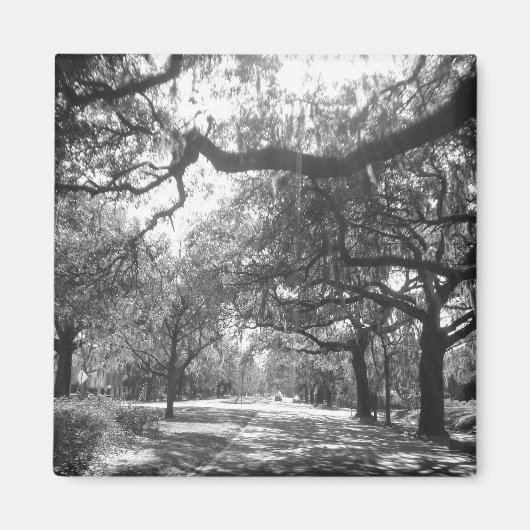 natuur magneet (Voorkant)