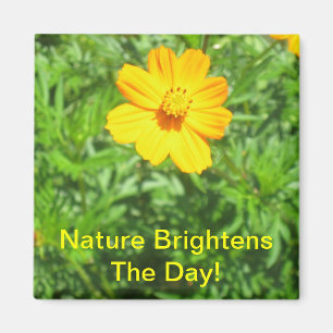 Natuur Magnet
