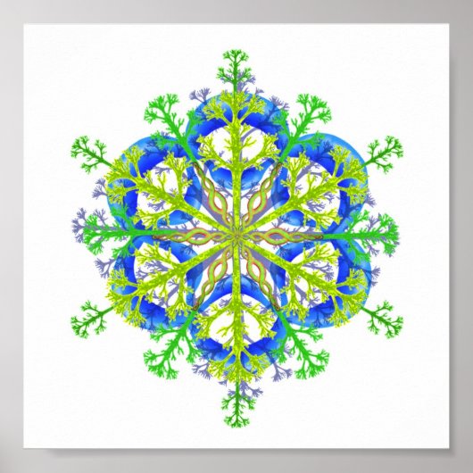 Natuur Mandala 2 Poster (Voorkant)