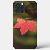 Natuur Maple Leaf Foto Case-Mate iPhone Case (Achterkant)