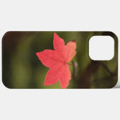Natuur Maple Leaf Foto Case-Mate iPhone Case (Achterkant (horizontaal))
