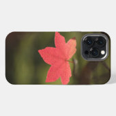 Natuur Maple Leaf Foto iPhone Hoesje (Achterkant horizontaal)