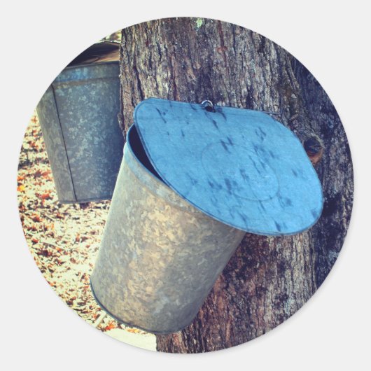 Natuur Maple Syrup Sap Buckets Ronde Sticker (Voorkant)