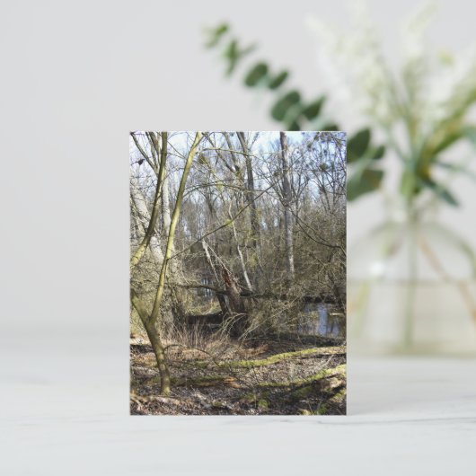 Natuur Meadowlands Briefkaart (Staand voorkant)