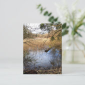 Natuur Meadowlands Briefkaart (Staand voorkant)