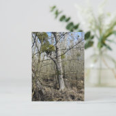 Natuur Meadowlands Briefkaart (Staand voorkant)