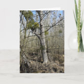 Natuur Meadowlands Kaart (Voorkant)