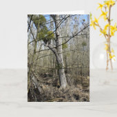 Natuur Meadowlands Kaart (Gele Bloem)