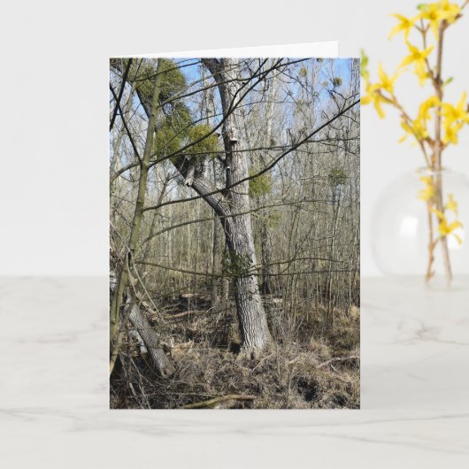 Natuur Meadowlands Kaart (Gele Bloem)