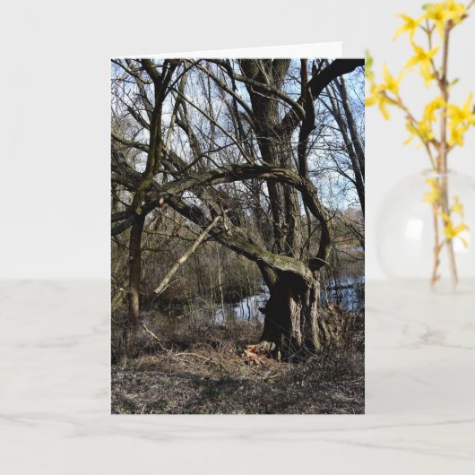 Natuur Meadowlands Kaart (Gele Bloem)