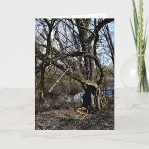 Natuur Meadowlands Kaart