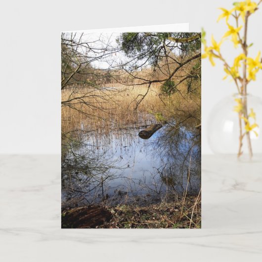 Natuur Meadowlands Kaart (Gele Bloem)