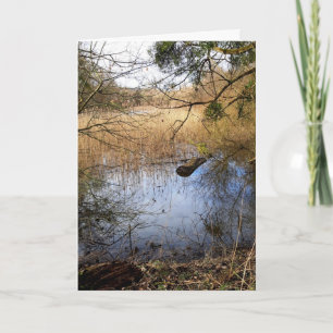 Natuur Meadowlands Kaart