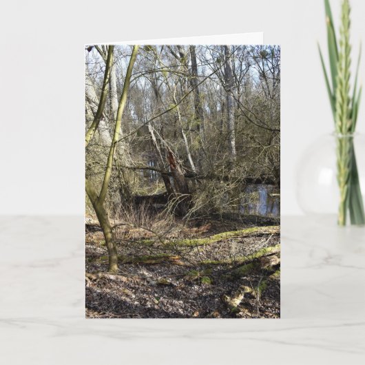 Natuur Meadowlands Kaart (Voorkant)