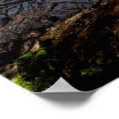 Natuur Meadowlands Poster (Hoek)