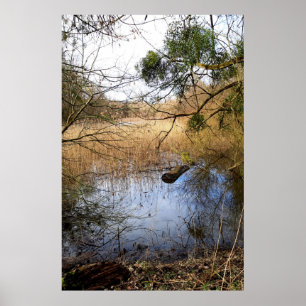 Natuur Meadowlands Poster