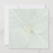 Natuur meditatie bladeren bloemen roze wit groen  bedankkaart (Achterkant)