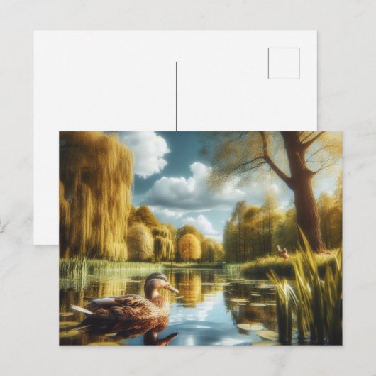 Natuur met eend briefkaart (Voorkant / Achterkant)