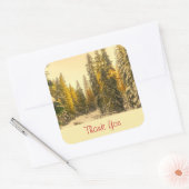 Natuur met sneeuwbedekking pijnbomen Foto Dank u Vierkante Sticker (Envelop)