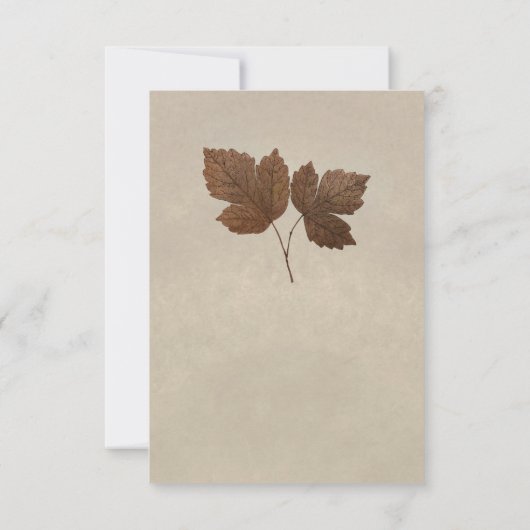 Natuur minimalistisch valgetal laat een elegant ta kaart (Achterkant)