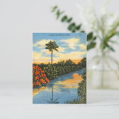 Natuur Mirror in Florida Briefkaart (Staand voorkant)
